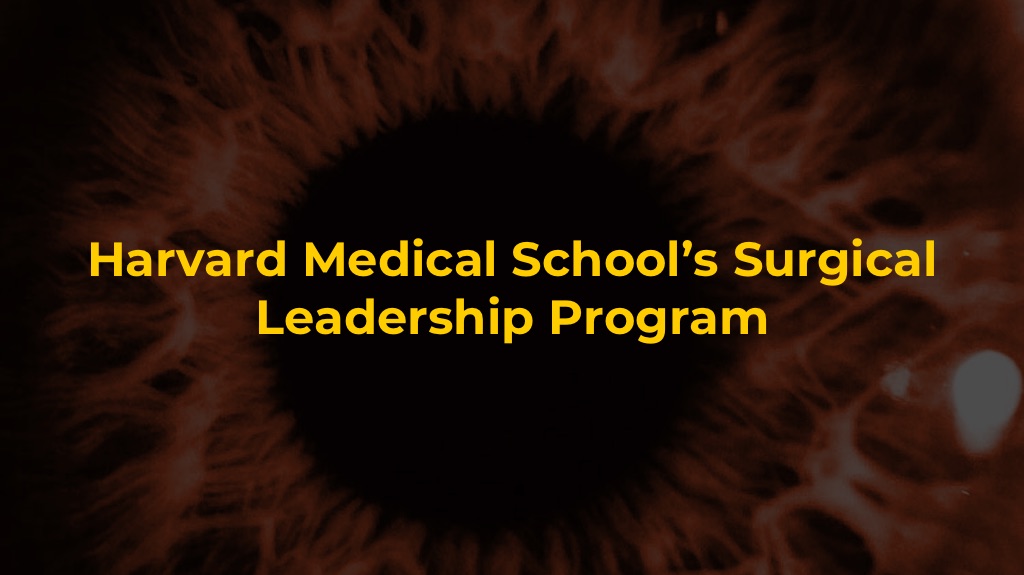 Harvard Medical School’s Surgical Leadership Program